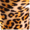 Leopard shanghai