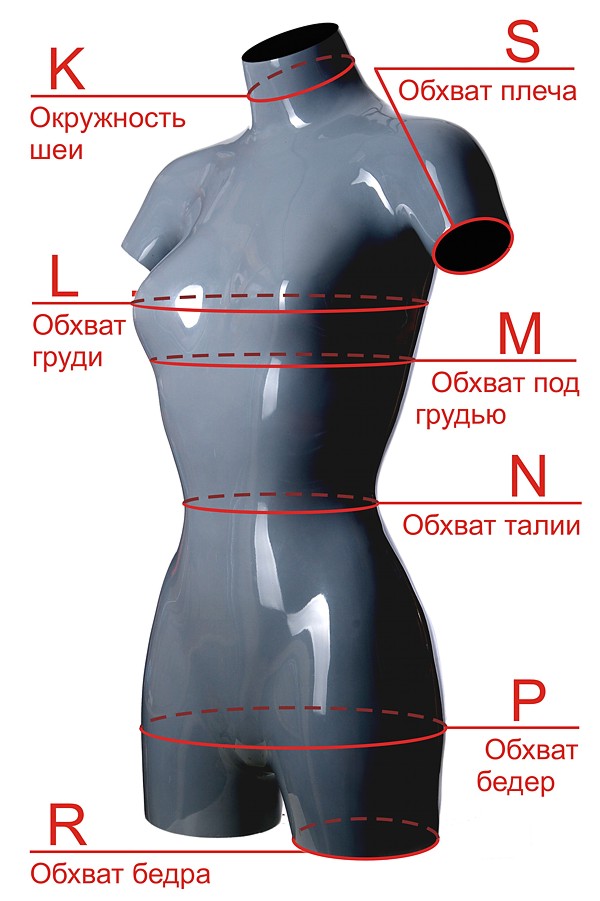 The dimensions of the torso on which the leotard is cast