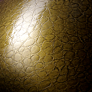 Croco Gold