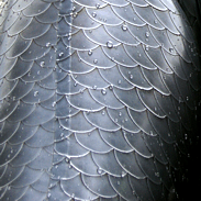 Scales Silver