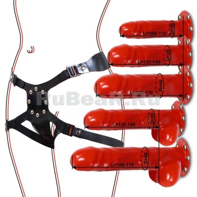 IL5777 Professional strap-on with quick-change dildo