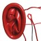 Cushion ring with condom 40mm diameter +18.00€