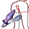 Inflatable anal plug IS4105, type B, diameter 41-43mm +27.00€